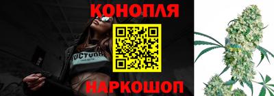 крисы Заводоуковск