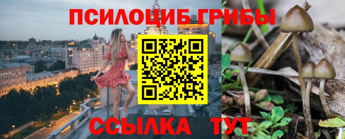 Галлюциногенные грибы прущие грибы  Вход с VPN  Галлюциногенные грибы MAGIC MUSHROOMS  Ухта 